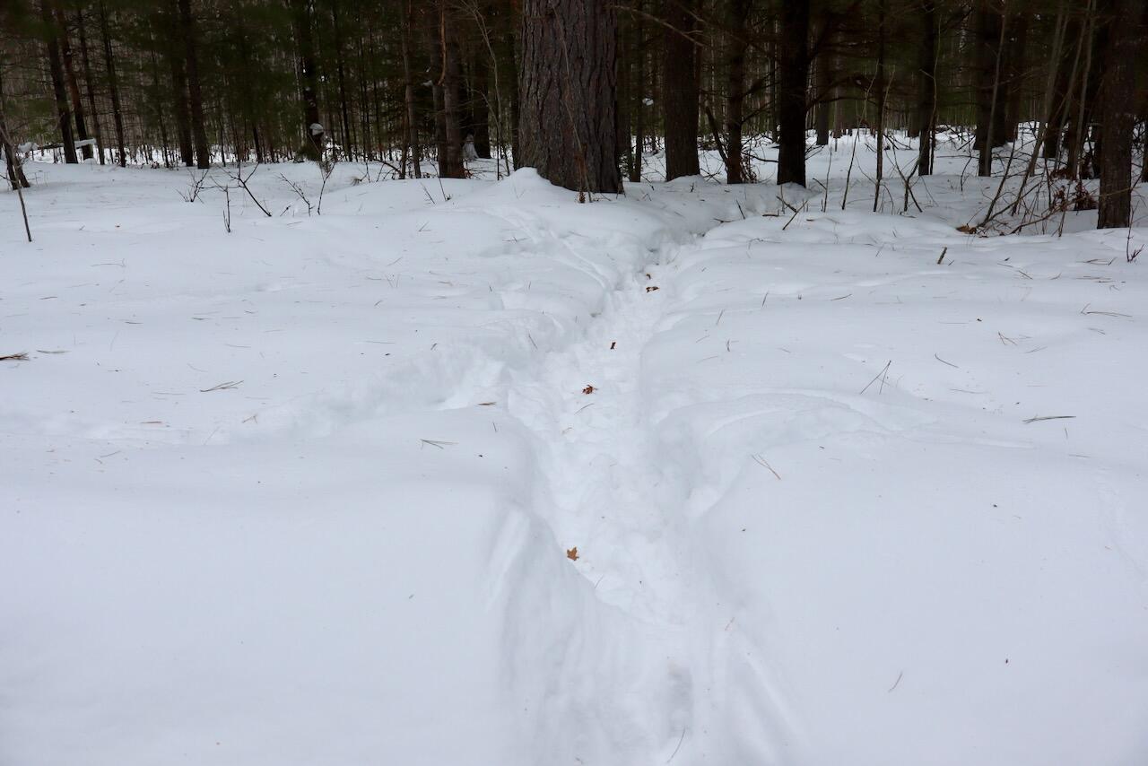 4440 Cherry Creek Road Lewiston, MI 49756 - Photo 6 of 58 006