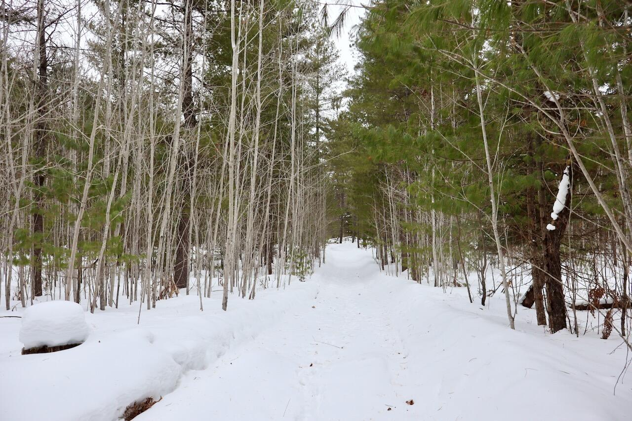 4440 Cherry Creek Road Lewiston, MI 49756 - Photo 8 of 58 008