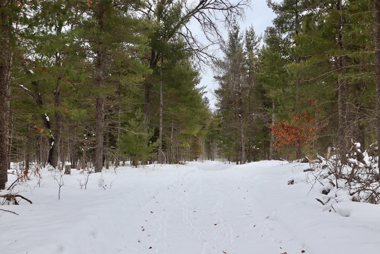 4440 Cherry Creek Road Lewiston, MI 49756 - Photo 9 of 58 009