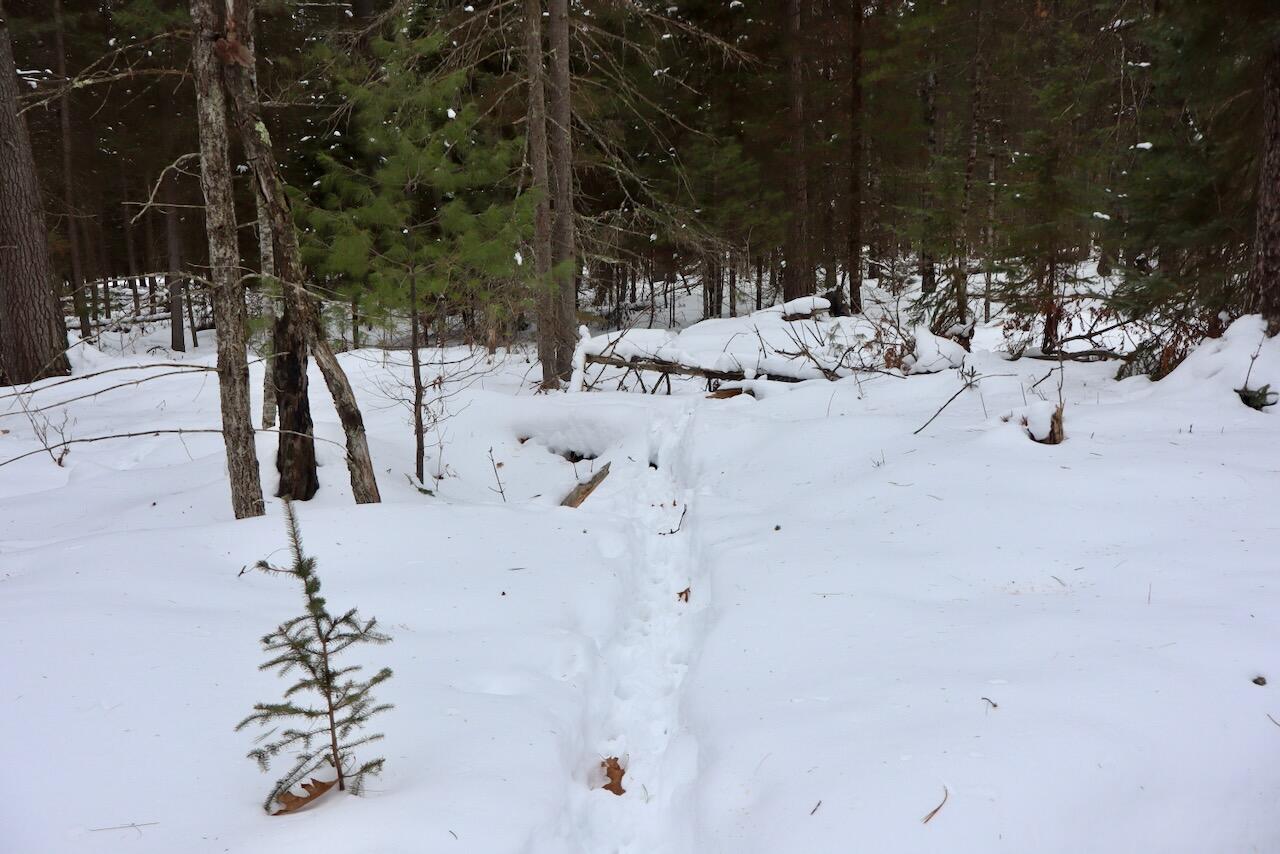 4440 Cherry Creek Road Lewiston, MI 49756 - Photo 10 of 58 010