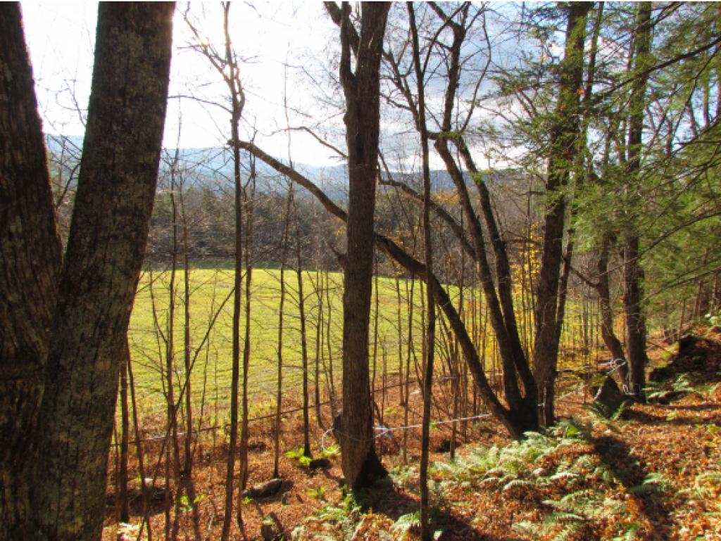 Lot D Quarry Road Waitsfield, VT 05673 - Photo 11 of 24