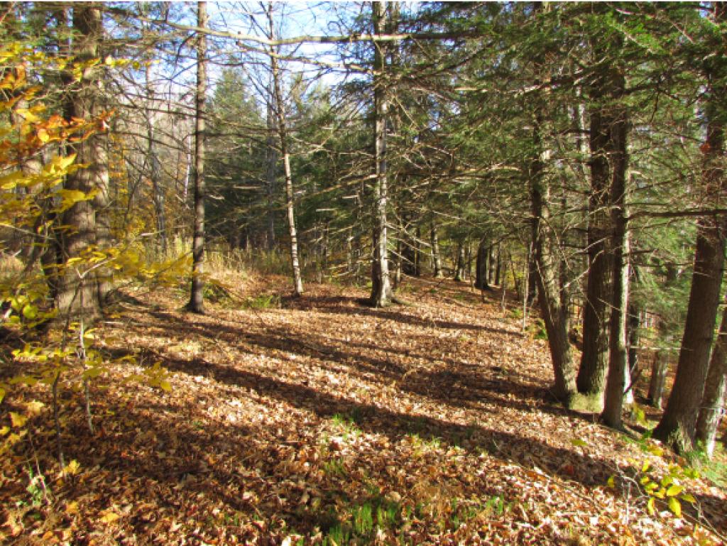 Lot D Quarry Road Waitsfield, VT 05673 - Photo 13 of 24