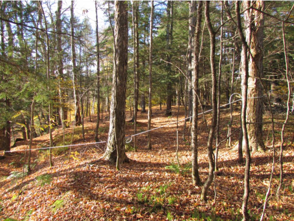 Lot D Quarry Road Waitsfield, VT 05673 - Photo 15 of 24