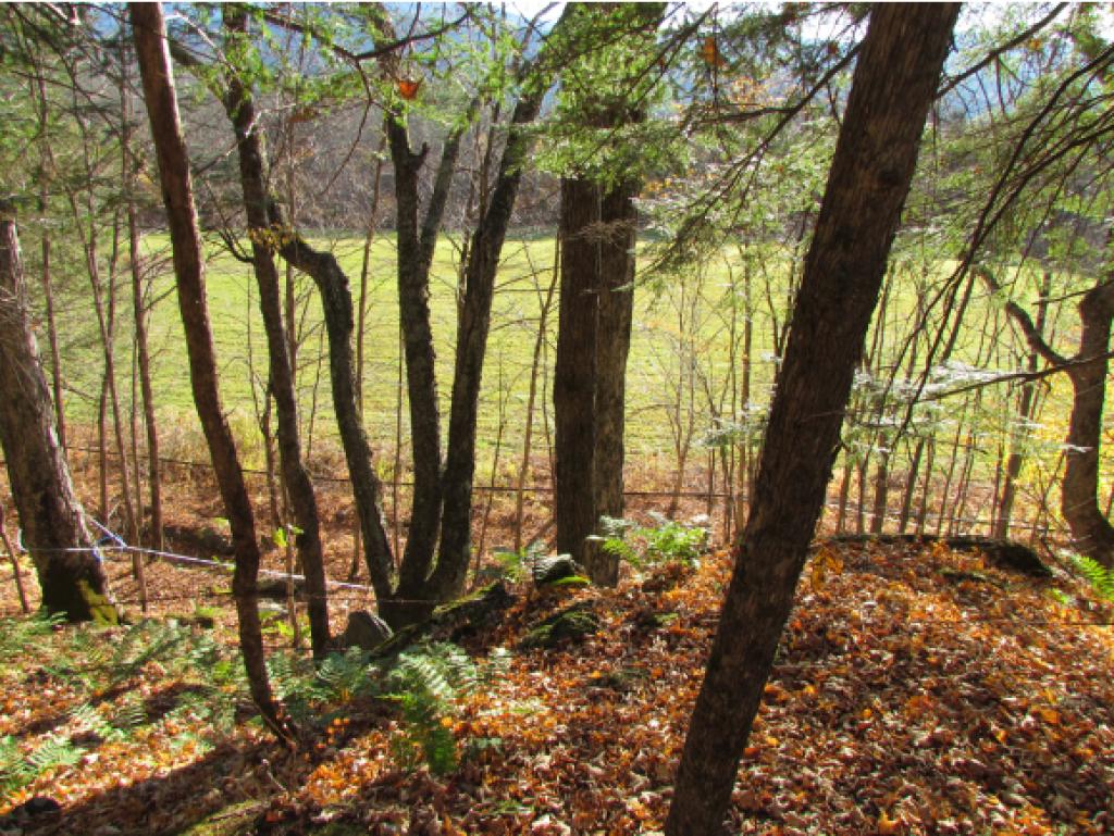 Lot D Quarry Road Waitsfield, VT 05673 - Photo 16 of 24