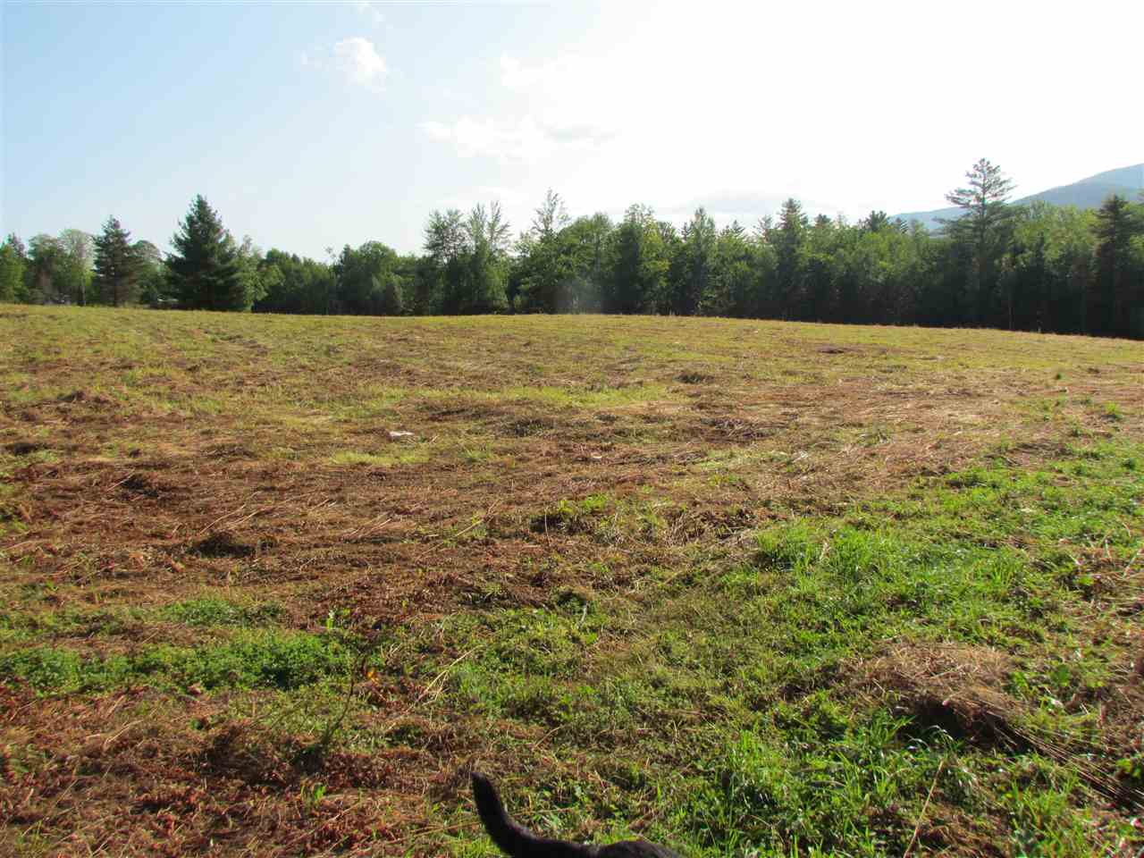 Lot D Quarry Road Waitsfield, VT 05673 - Photo 19 of 24