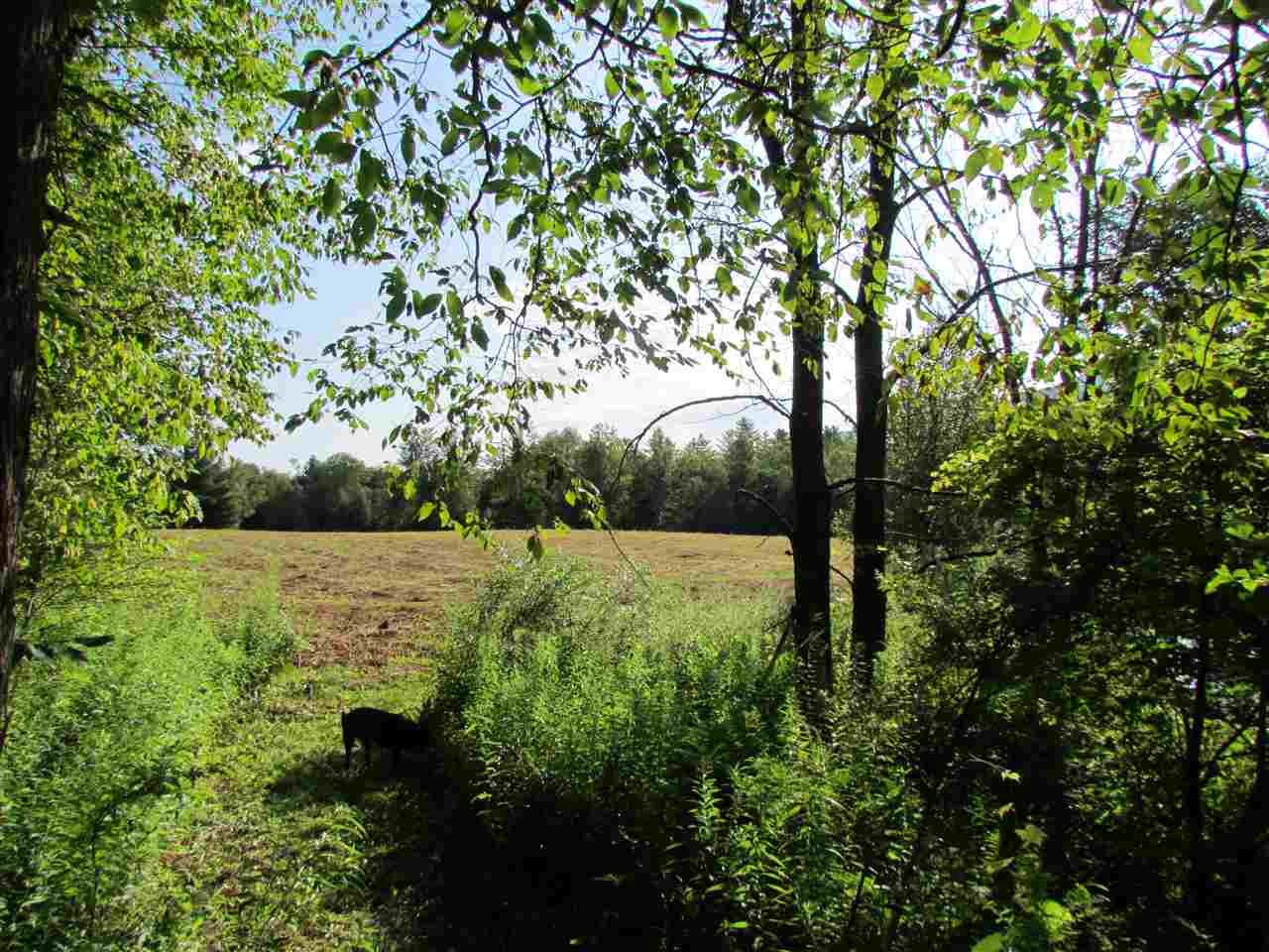 Lot D Quarry Road Waitsfield, VT 05673 - Photo 20 of 24