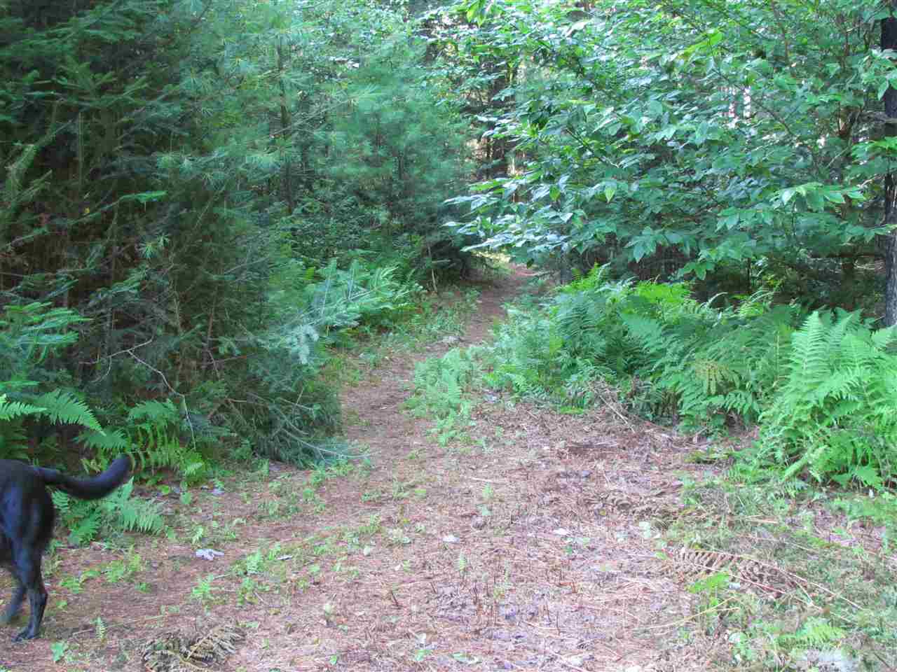 Lot D Quarry Road Waitsfield, VT 05673 - Photo 24 of 24
