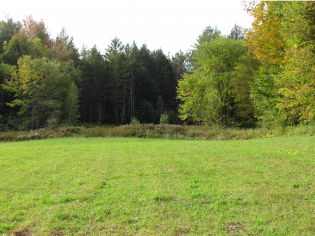 Lot D Quarry Road Waitsfield, VT 05673 - Photo 4 of 24