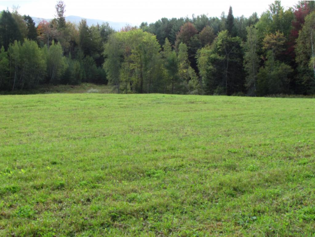 Lot D Quarry Road Waitsfield, VT 05673 - Photo 6 of 24