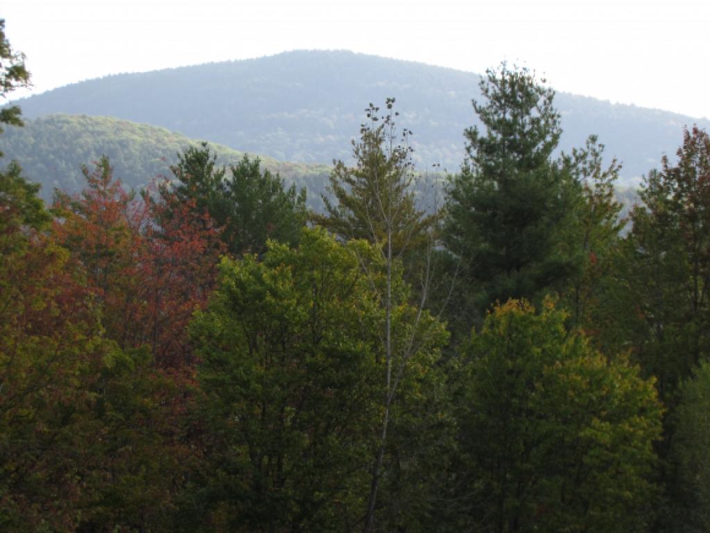 Lot D Quarry Road Waitsfield, VT 05673 - Photo 8 of 24