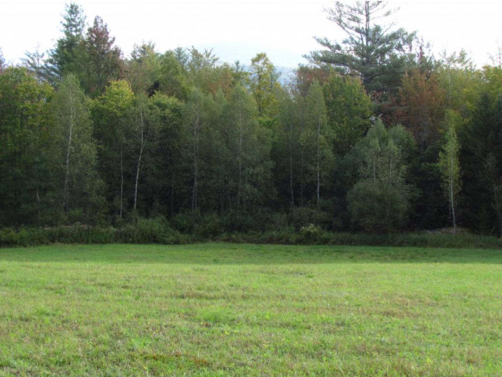 Lot D Quarry Road Waitsfield, VT 05673 - Photo 9 of 24