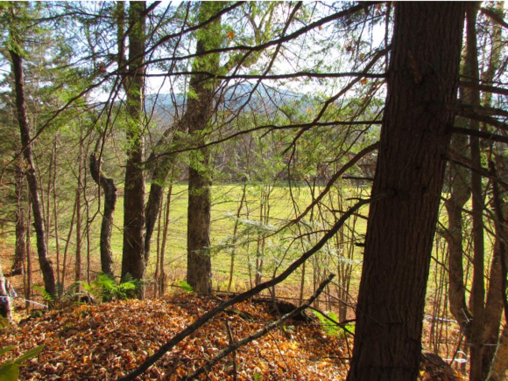 Lot D Quarry Road Waitsfield, VT 05673 - Photo 10 of 24