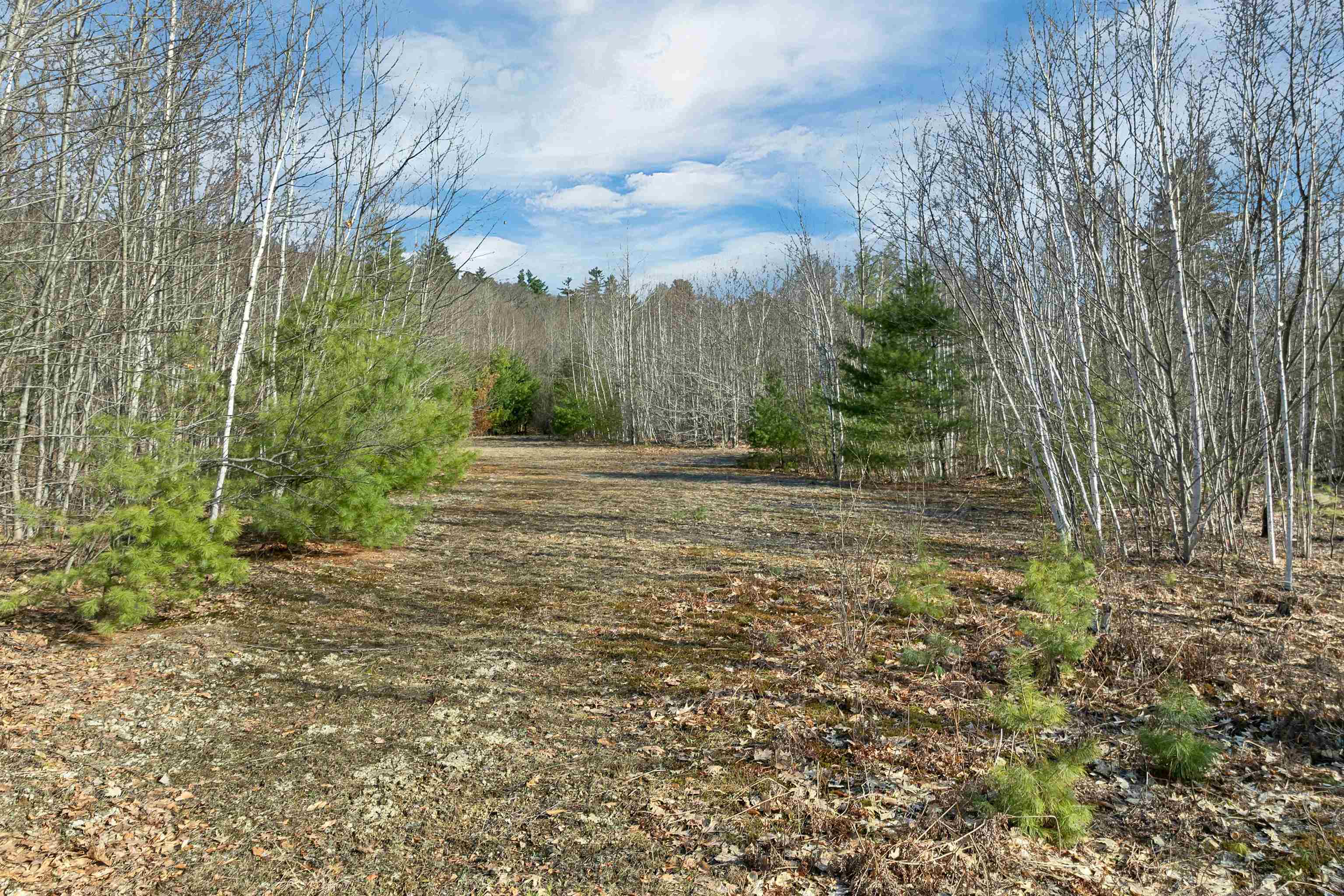 Lot 41 Oakcrest Road Bristol, NH 03222 - Photo 15 of 17