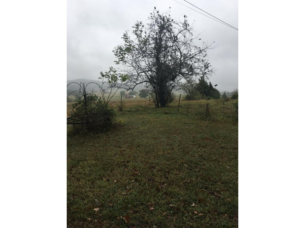 195 Birds Bridge Road Greeneville, TN 37743 - Photo 3 of 16 Photo 3