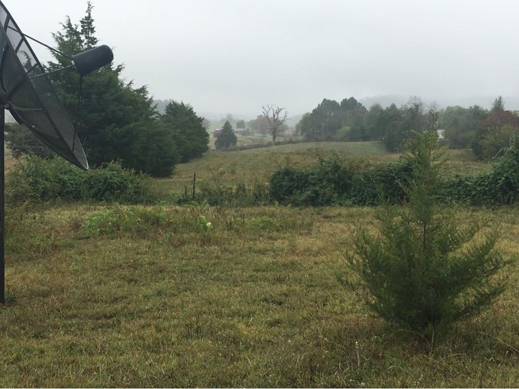 195 Birds Bridge Road Greeneville, TN 37743 - Photo 8 of 16 Photo 9