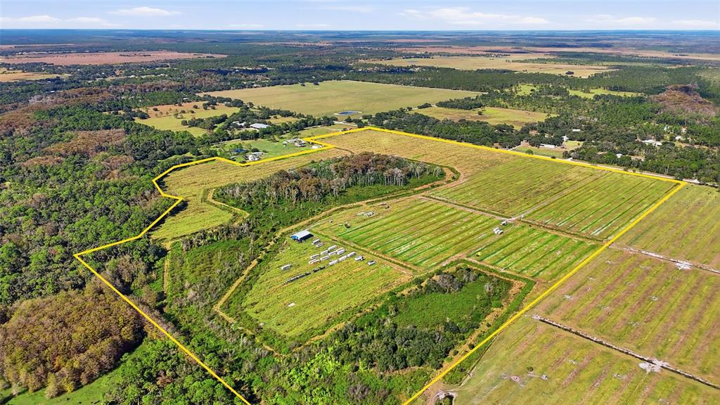3075 Loblolly Bay Road Southwest LaBelle, FL 33935 - Photo 11 of 12