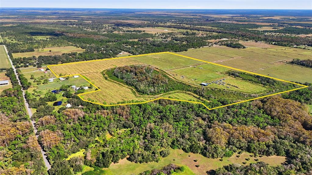 3075 Loblolly Bay Road Southwest LaBelle, FL 33935 - Photo 8 of 12