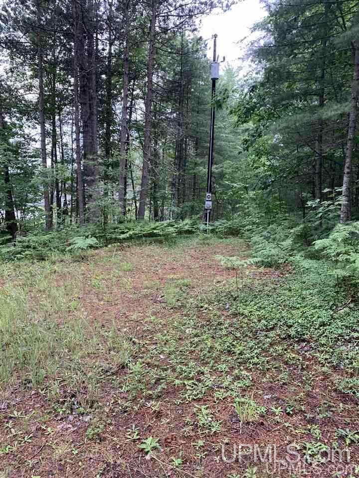 N3318 Twin Lakes Road Wetmore, MI 49895 - Photo 13 of 19