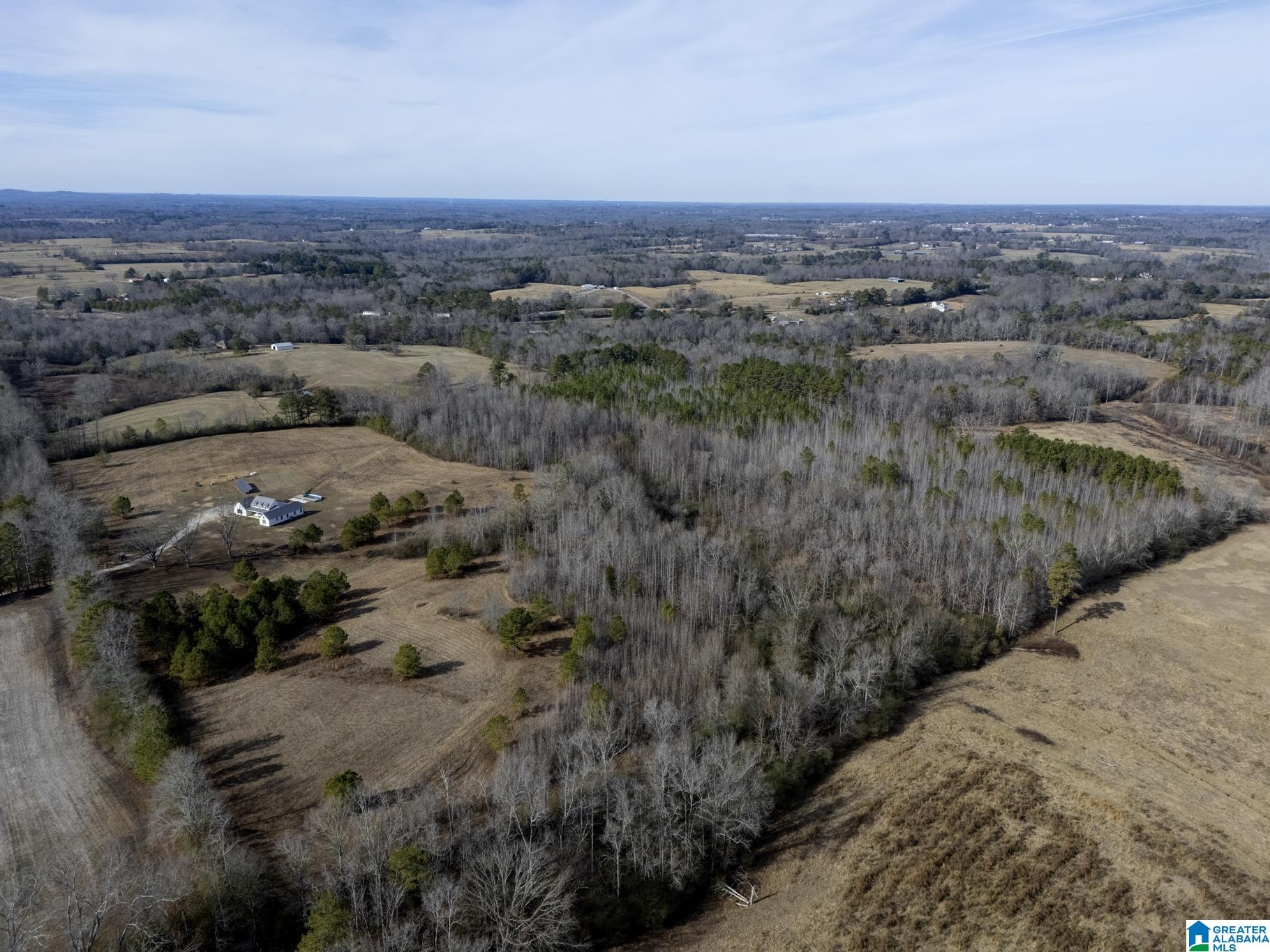 941 Hamm Road Blountsville, AL 35031 - Photo 57 of 67