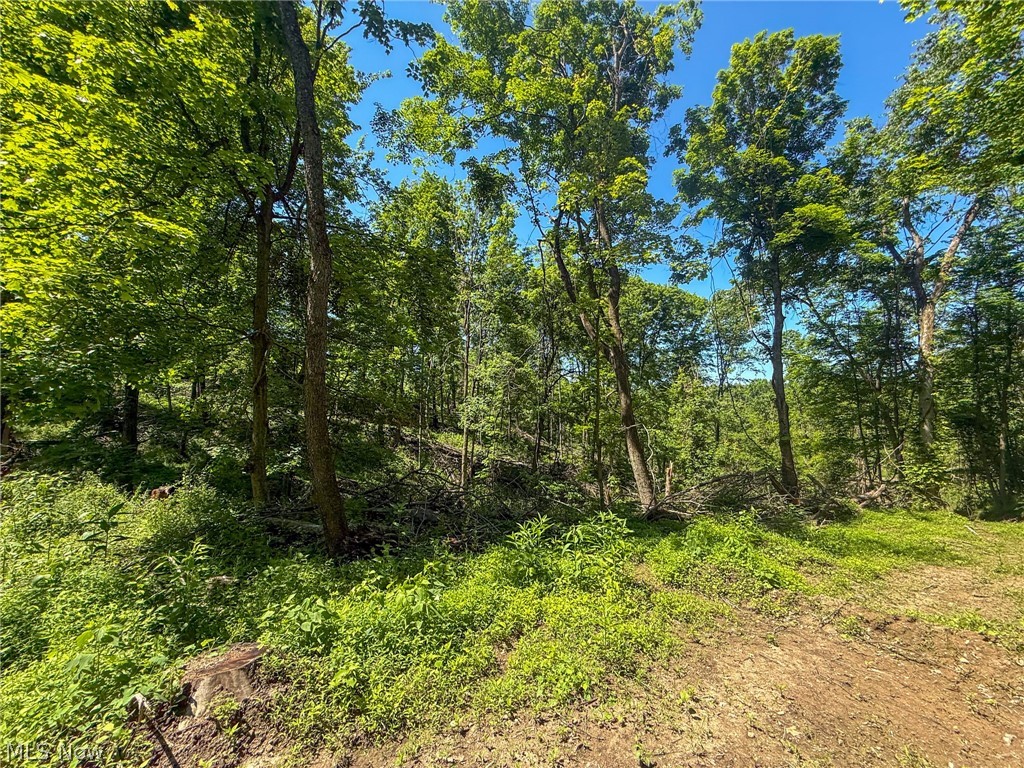 Lot 4 Altamont Road Mingo Junction, OH 43938 - Photo 24 of 27 Gallery Image 24