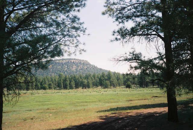 0 North Sky Mountain Ranch Road, Unit 32 Williams, AZ 86046 - Photo 5 of 5 Additional Photo