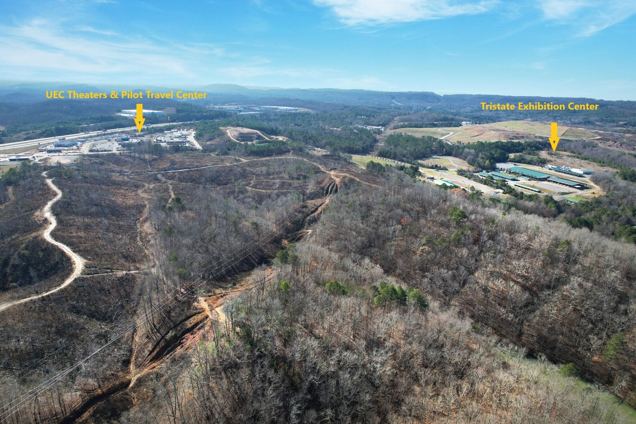 0 Withrow Road Southwest McDonald, TN 37353 - Photo 3 of 13