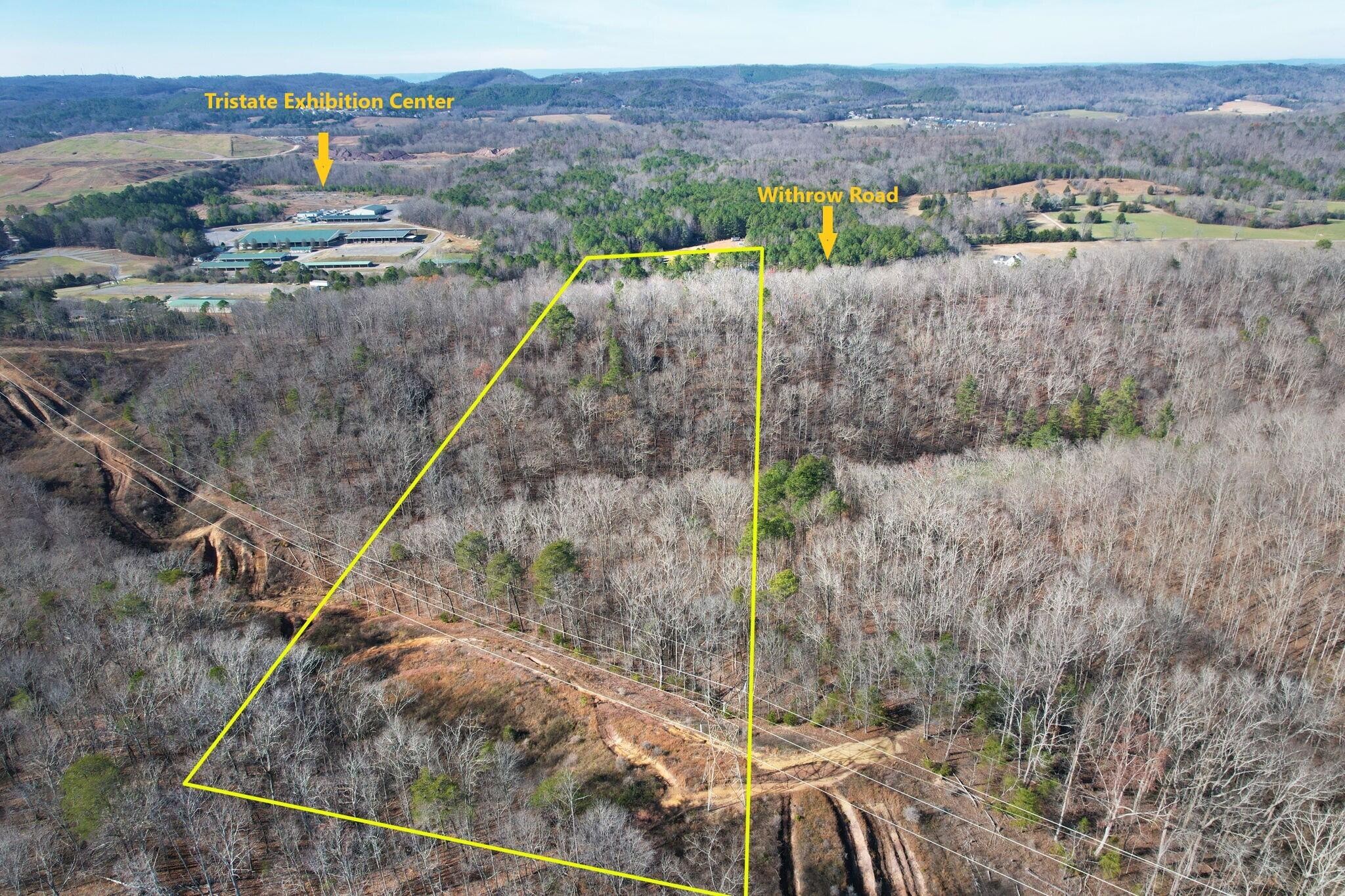0 Withrow Road Southwest McDonald, TN 37353 - Photo 8 of 13 a view of a house with a yard