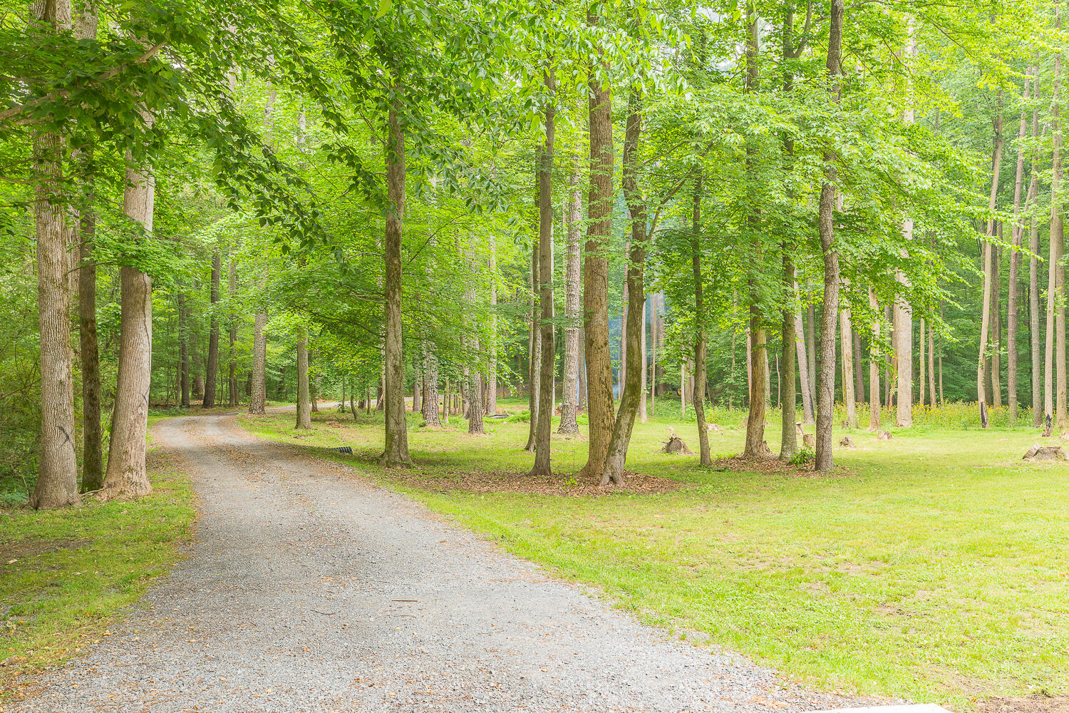 122 Bigham Road Trion, GA 30753 - Photo 3 of 49 122 Bigham Road HD_-17