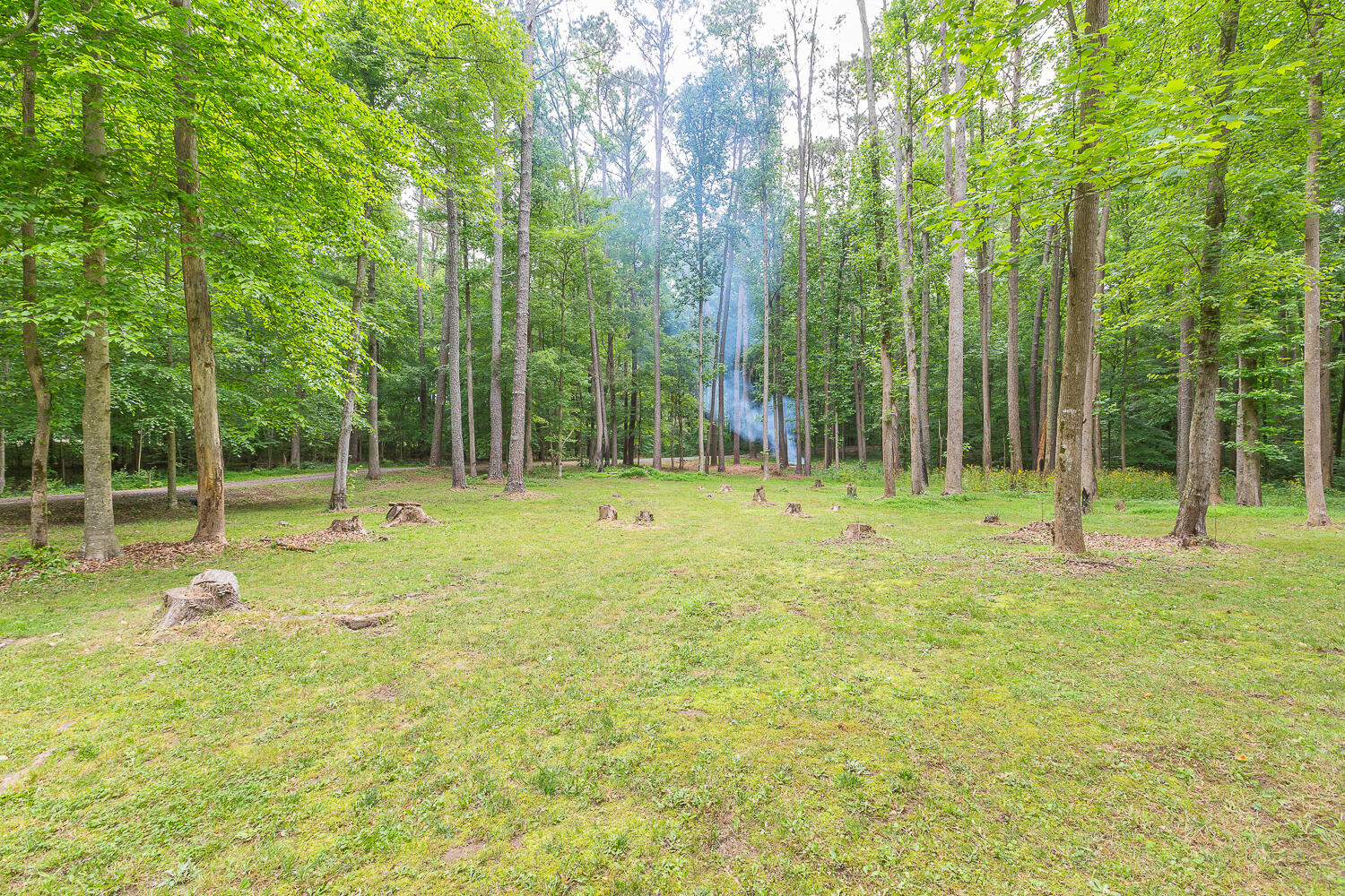 122 Bigham Road Trion, GA 30753 - Photo 49 of 49 122 Bigham Road HD_
