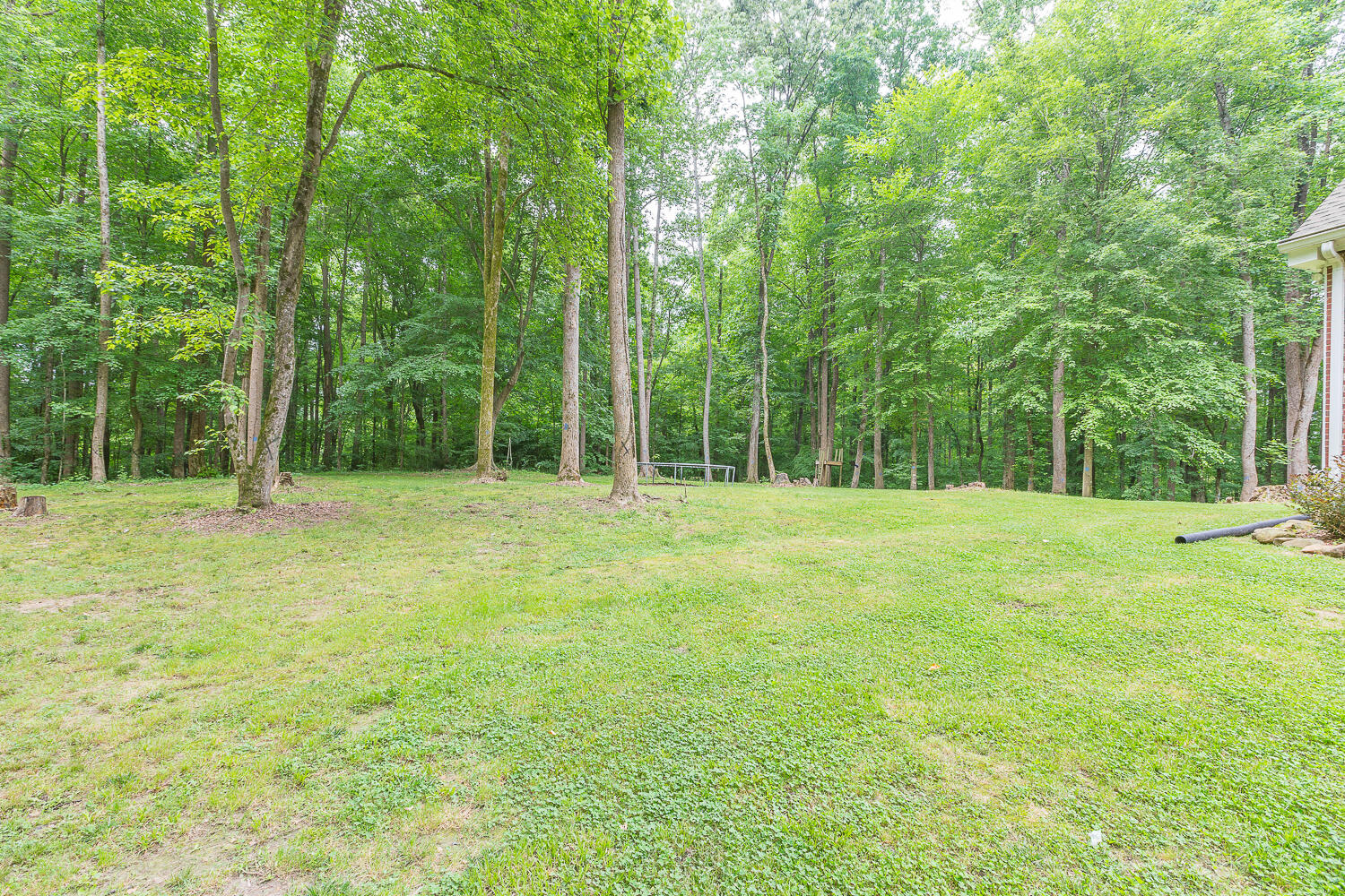 122 Bigham Road Trion, GA 30753 - Photo 7 of 49 122 Bigham Road HD_-5