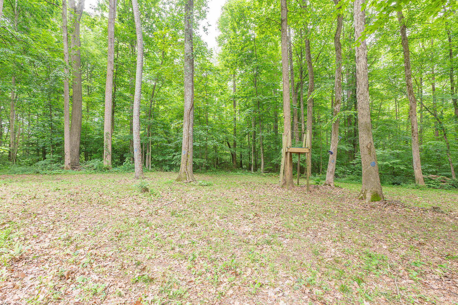 122 Bigham Road Trion, GA 30753 - Photo 9 of 49 122 Bigham Road HD_-8