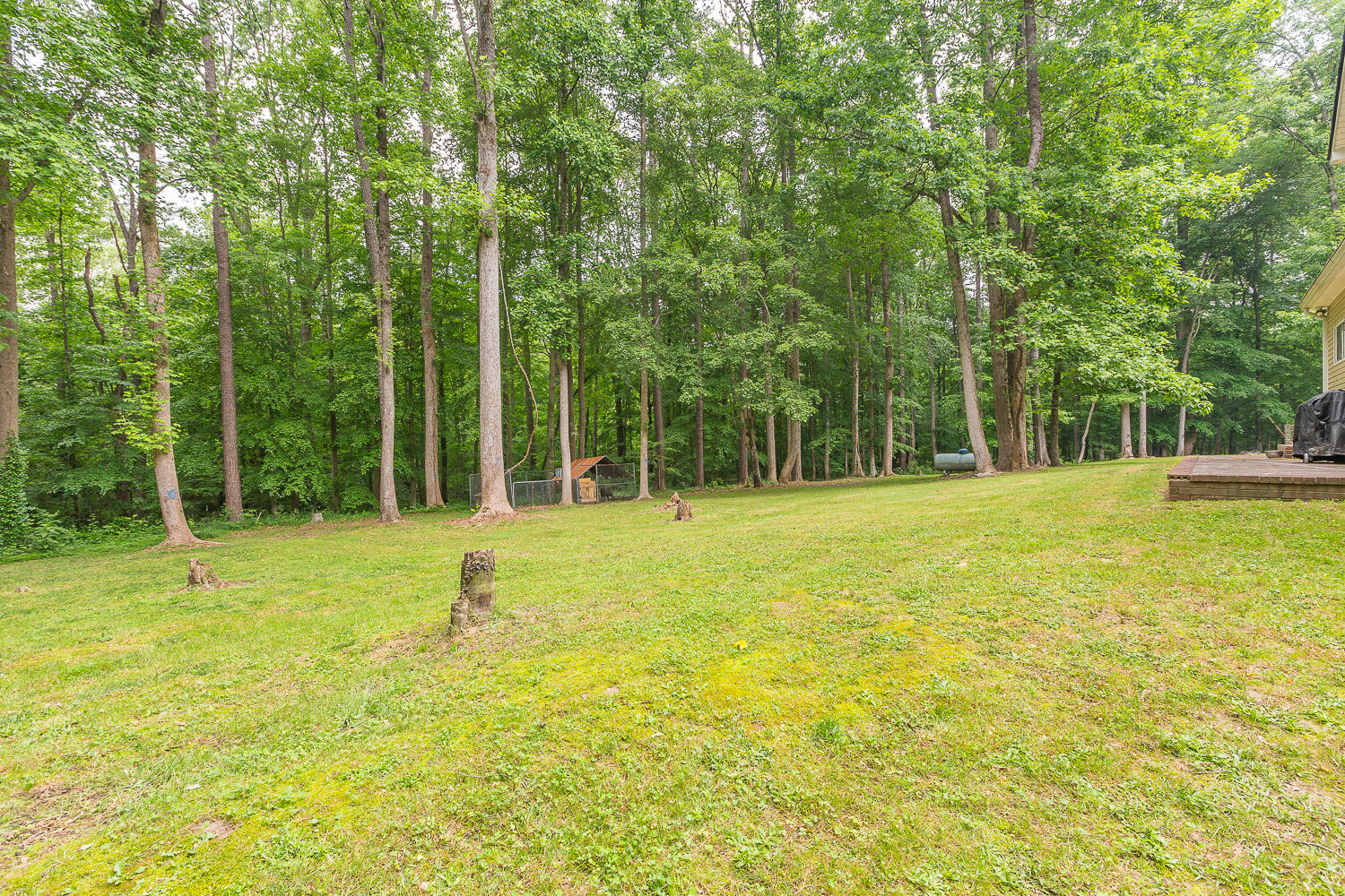 122 Bigham Road Trion, GA 30753 - Photo 10 of 49 122 Bigham Road HD_-9