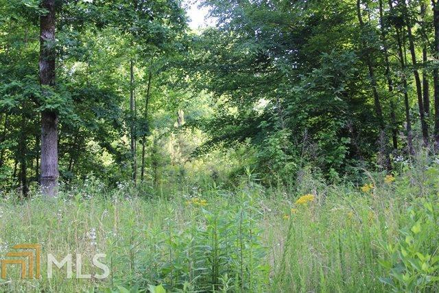 236 Cooper Valley Road, Unit LOT 28 Martin, GA 30557 - Photo 1 of 1 Gallery Image 1