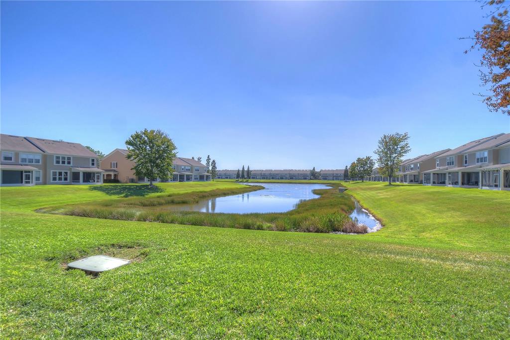 4744 Pond Ridge Drive Riverview, FL 33578 - Photo 7 of 18 a view of a garden with swimming pool