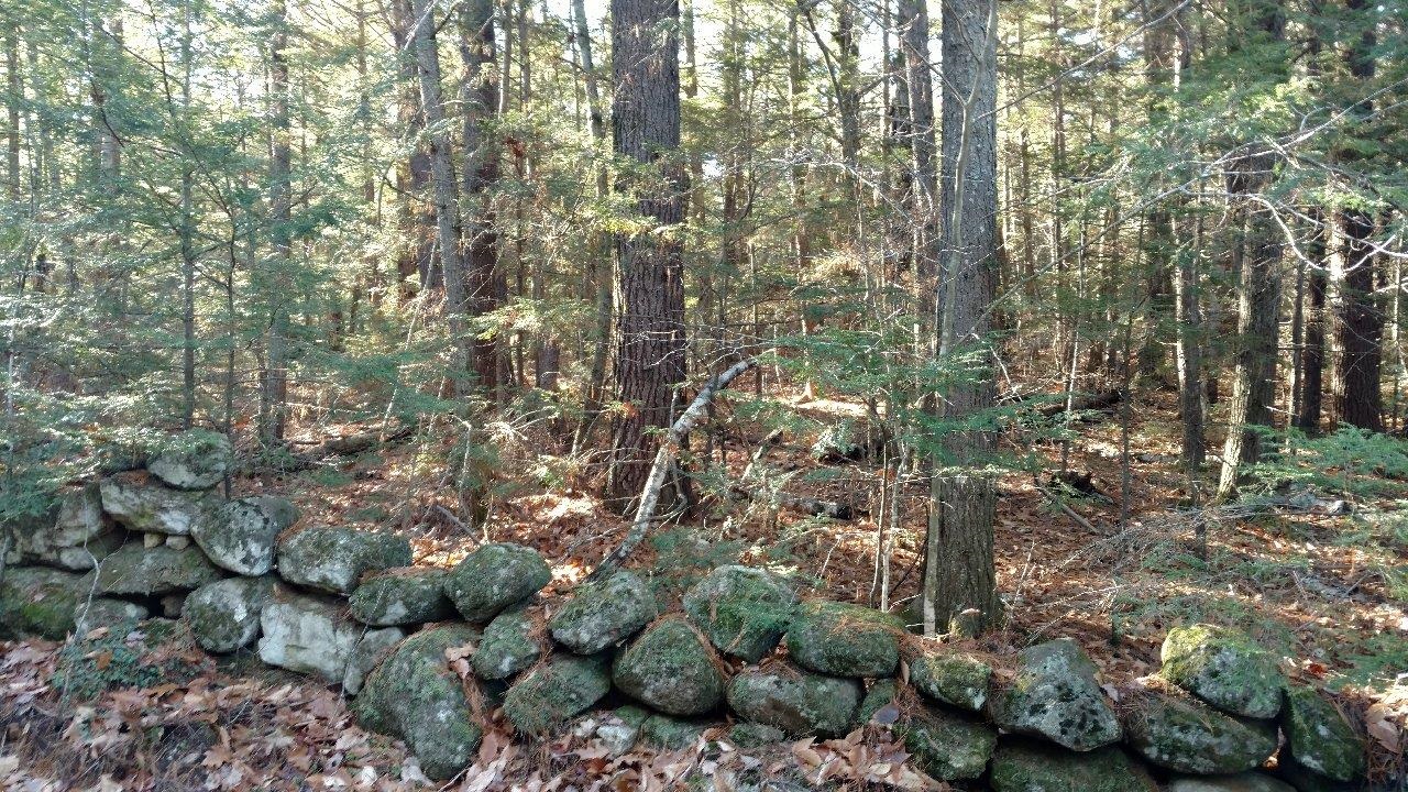 2 Salisbury Road, Unit 2 Mont Vernon, NH 03057 - Photo 7 of 7