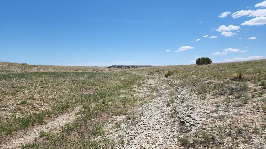 110 County Road 110 Rye, CO 81069 - Photo 11 of 37