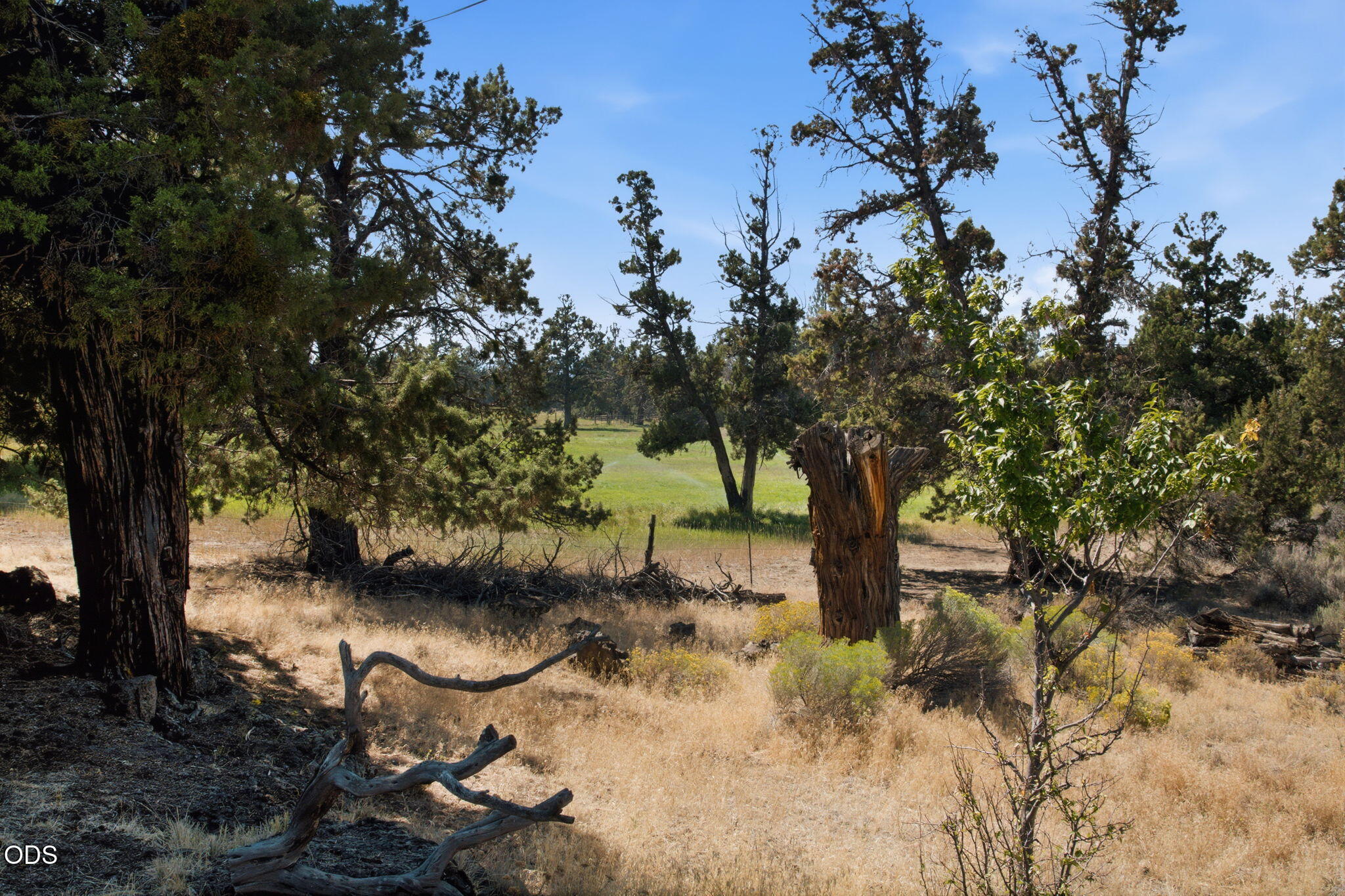 63379 Hamehook Road Bend, OR 97701 - Photo 23 of 26 Gallery Image 23
