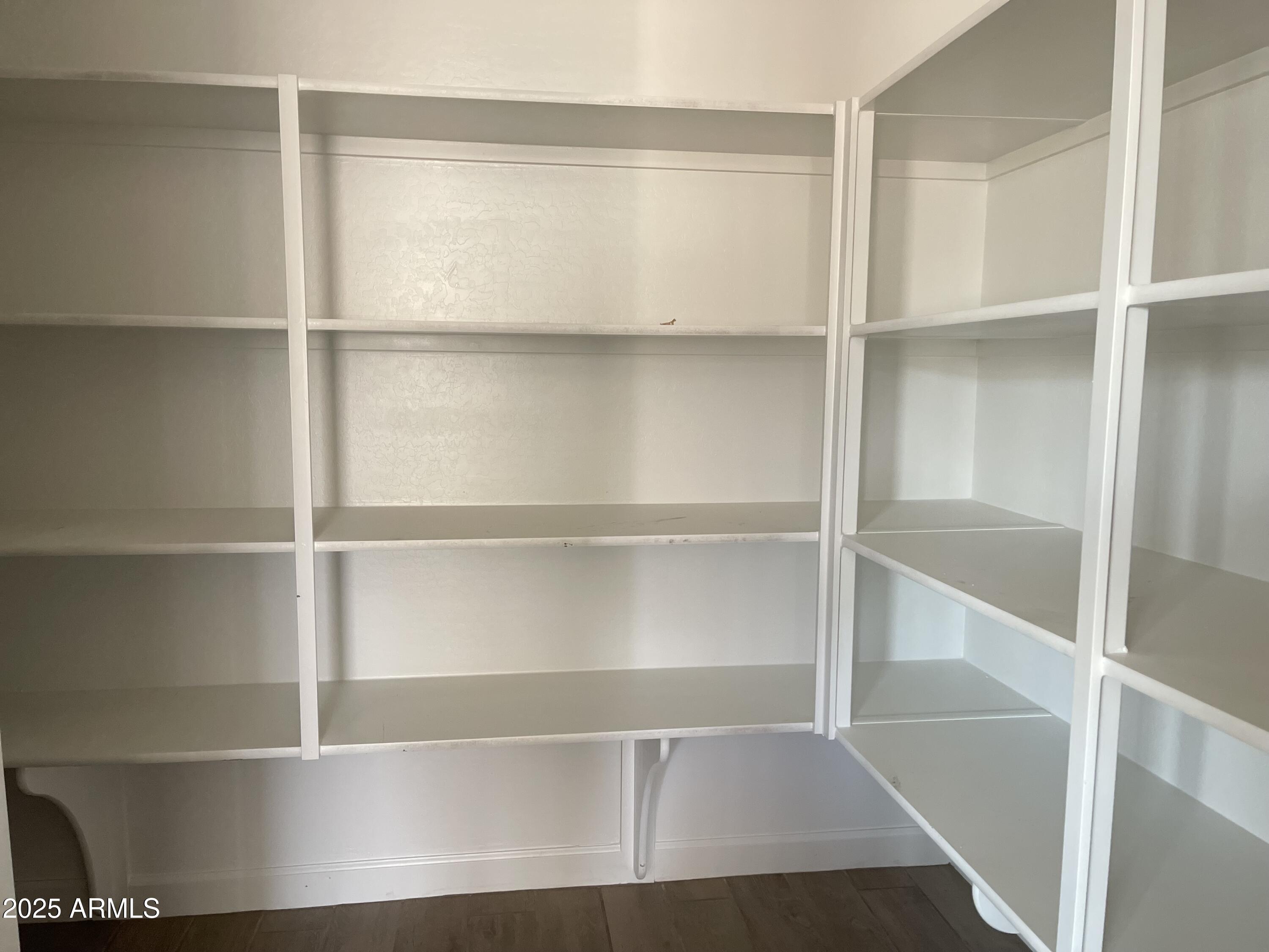 22669 East Saddle Way Queen Creek, AZ 85142 - Photo 21 of 46 020 Pantry