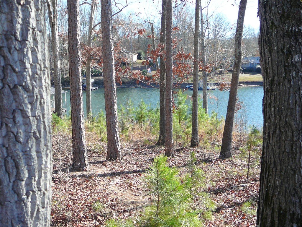 4 Landing Run Abbeville, SC 29620 - Photo 2 of 3 A tranquil lake view from a wooded property, with boat docks visible across the water.