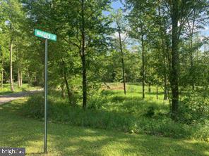 31 Hailees Lane McHenry, MD 21541 - Photo 14 of 14 a view of a garden