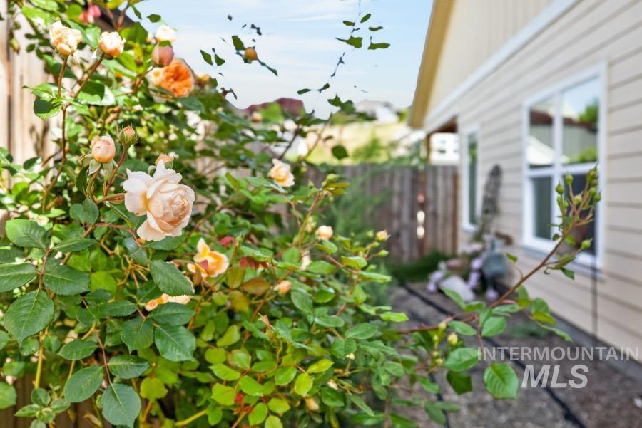 2033 West View Drive Moscow, ID 83843 - Photo 48 of 50