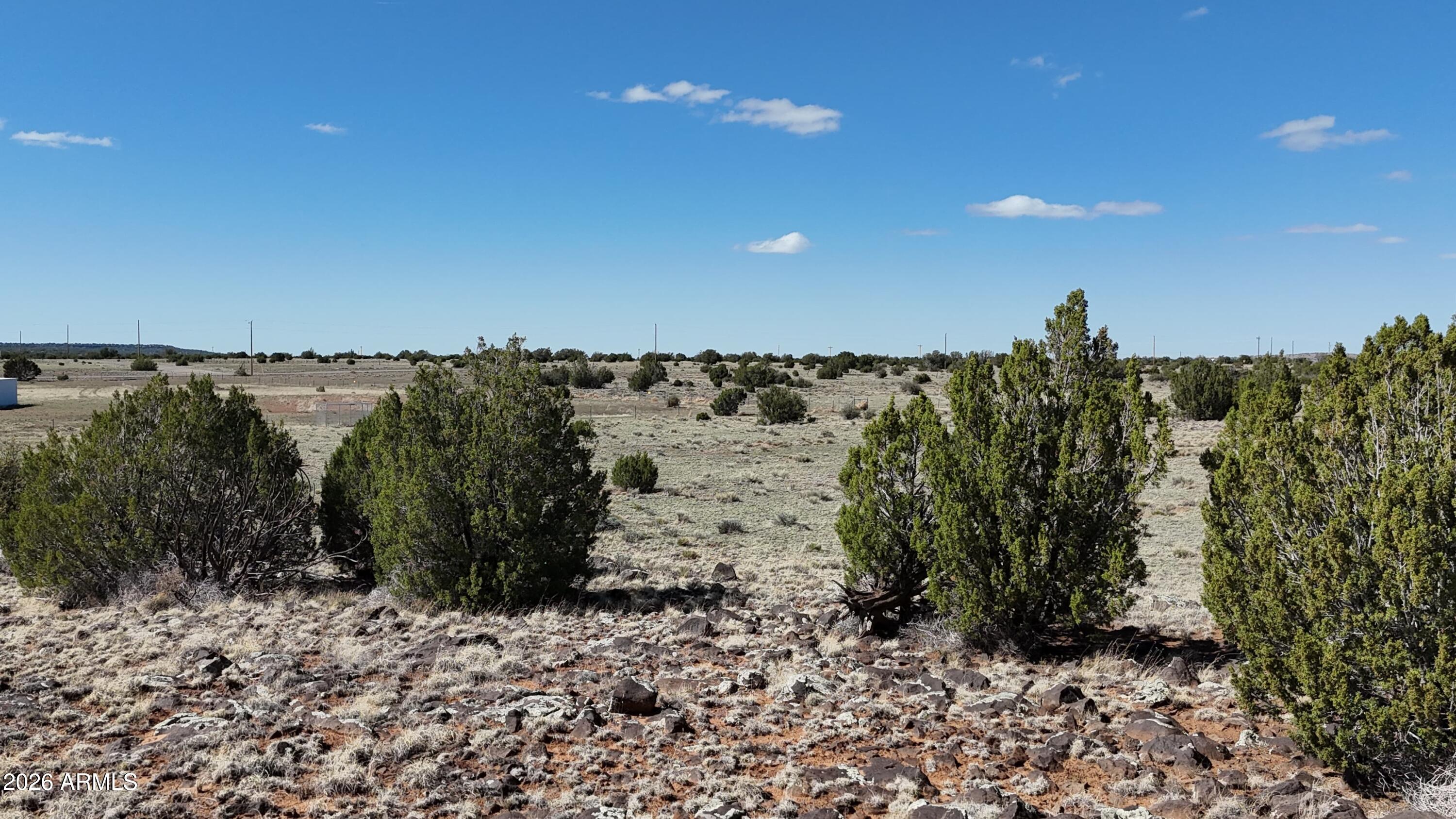Tbd Tbd Windsor Valley Ranch, Unit 142 Concho, AZ 85924 - Photo 18 of 23 a view of a bunch of trees and bushes