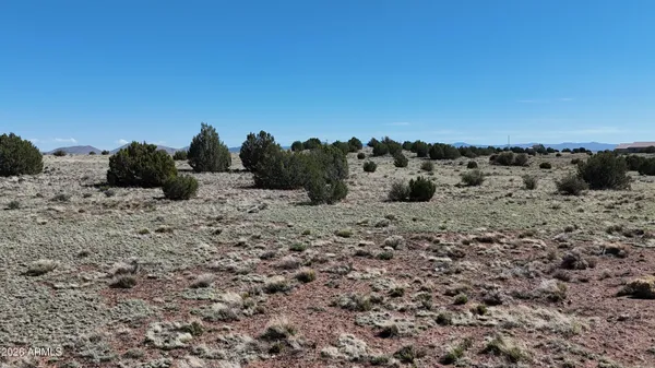 a view of a big yard