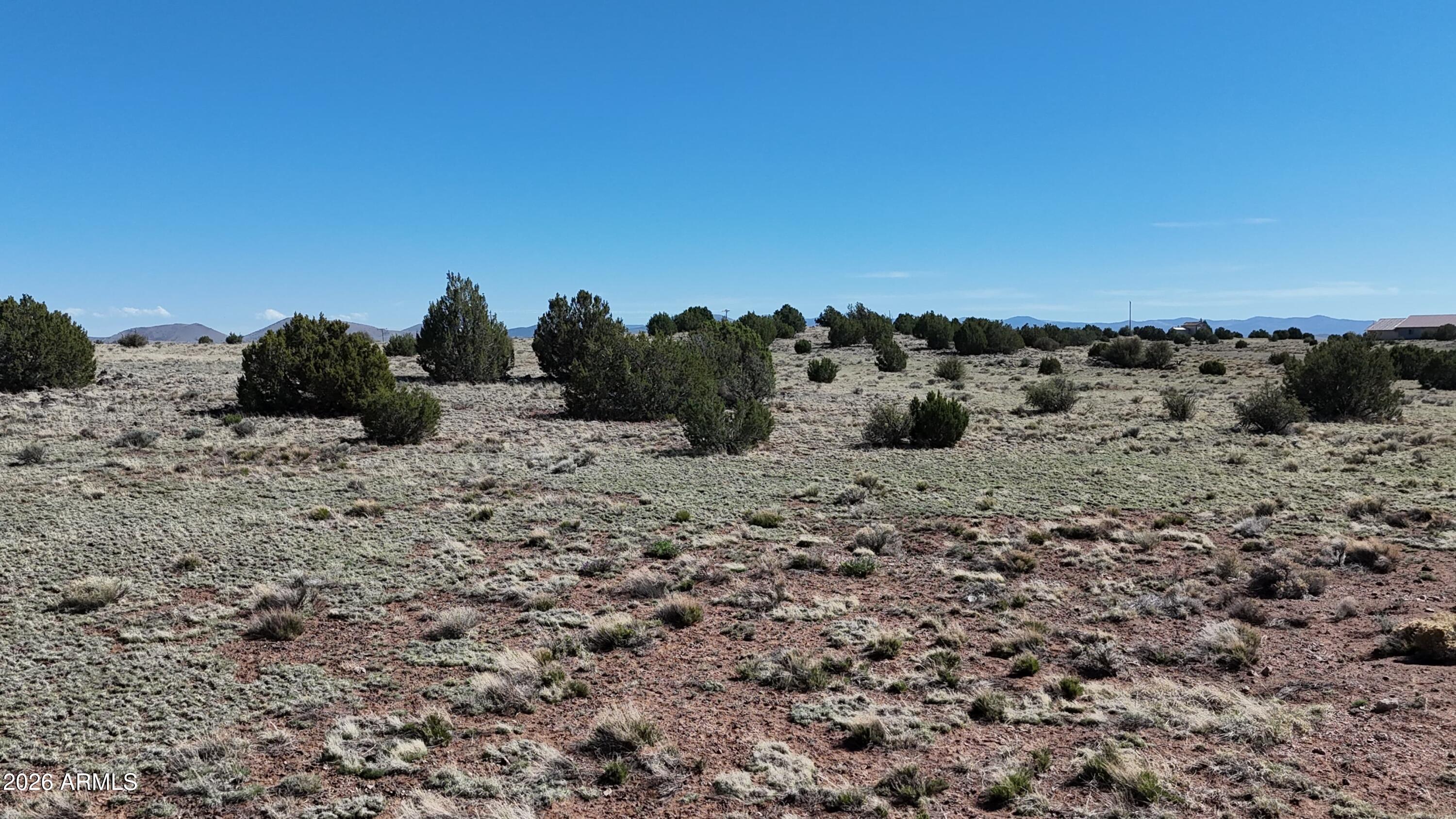 Tbd Tbd Windsor Valley Ranch, Unit 142 Concho, AZ 85924 - Photo 19 of 23 a view of a dry yard with lots of trees