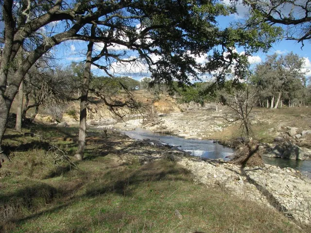 a view of a tree with a yard