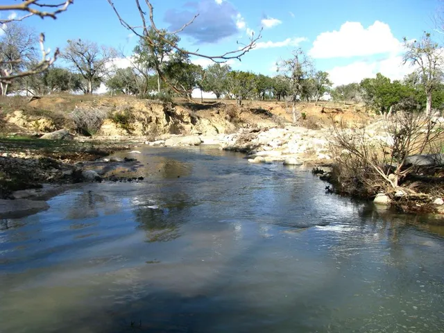 a view of a field with large trees