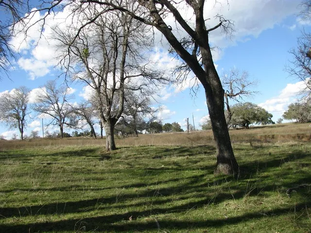 a view of dirt field with trees