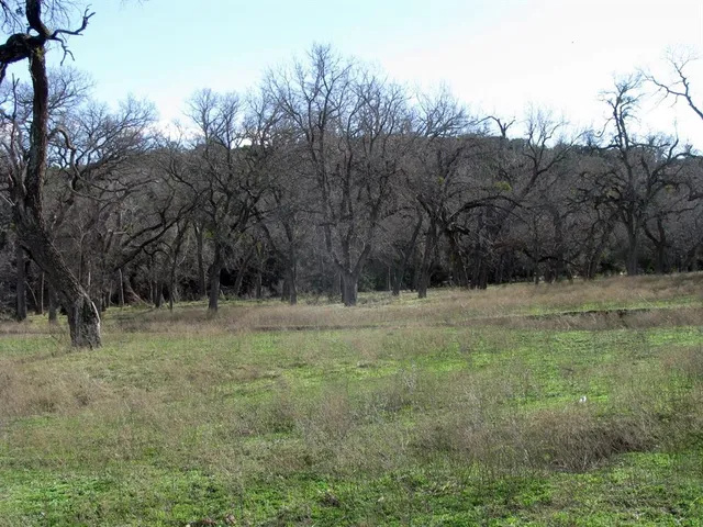 $155,000 | 1296 Buffalo Crk Drive, Evant, TX 76525