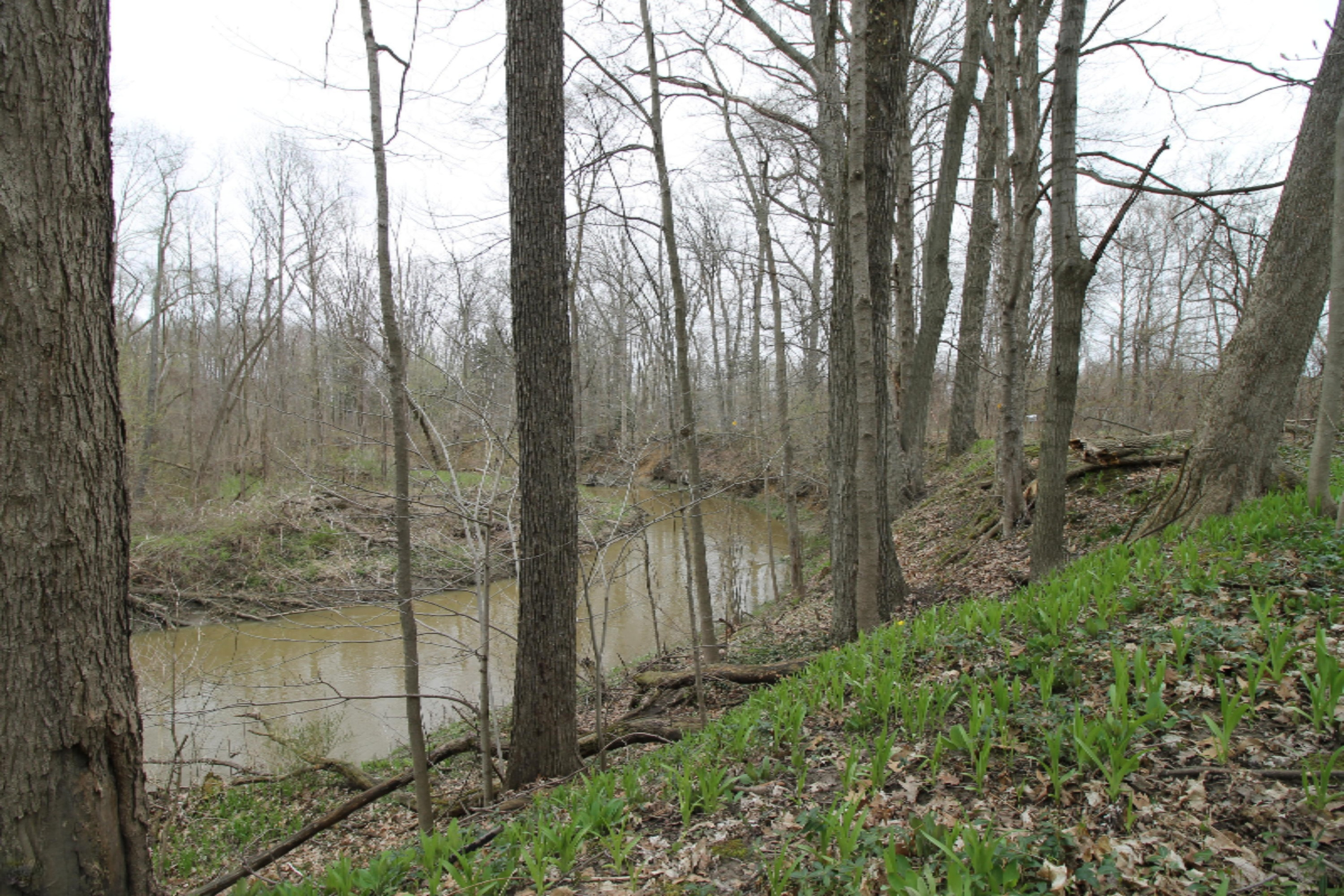 13844 Log Cabin Road Three Oaks, MI 49128 - Photo 6 of 21 900+ feet of Galien River Frontage