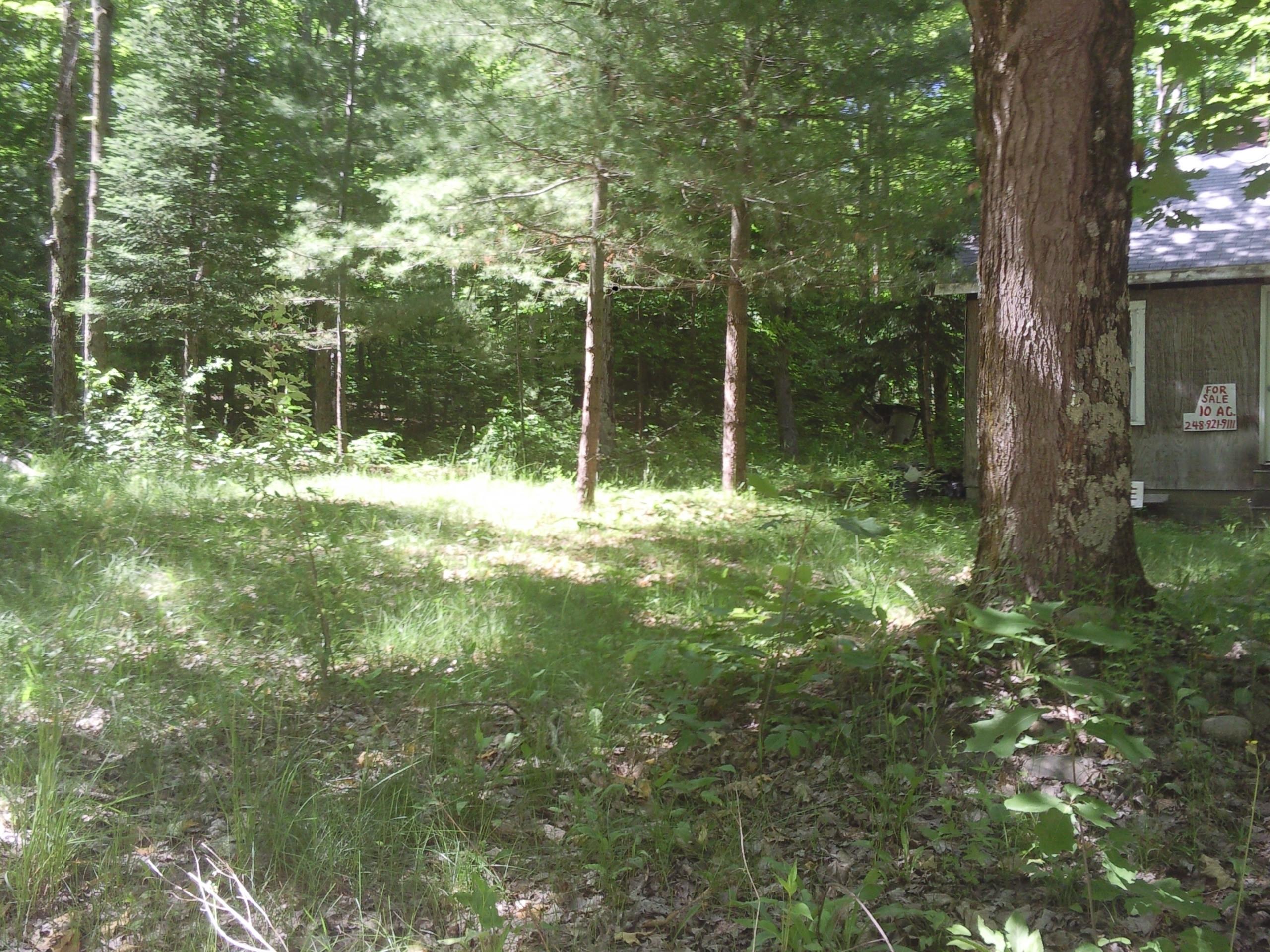 16350 Pleasant Valley Road Atlanta, MI 49709 - Photo 6 of 25 Gallery Image 6